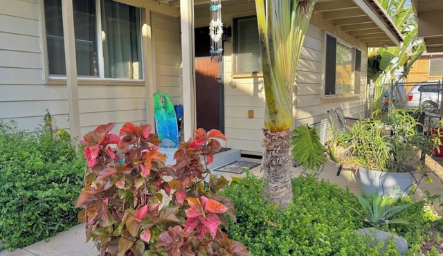 2-bedroom cottage, steps from the ocean, AC, parking