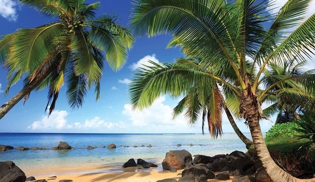 2br Deluxe Unit Anini Bay & Hanalei Views