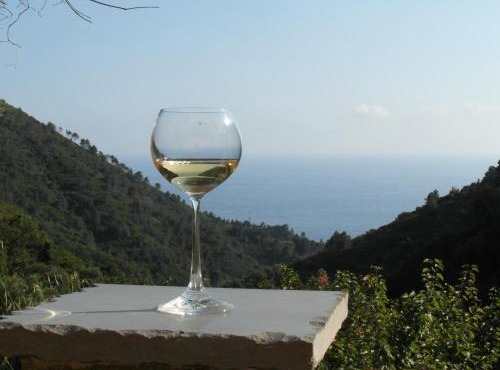 Agriturismo Costa di Campo in Vernazza