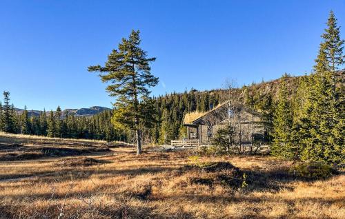 Amazing Home In Flå With Sauna in Skadeland