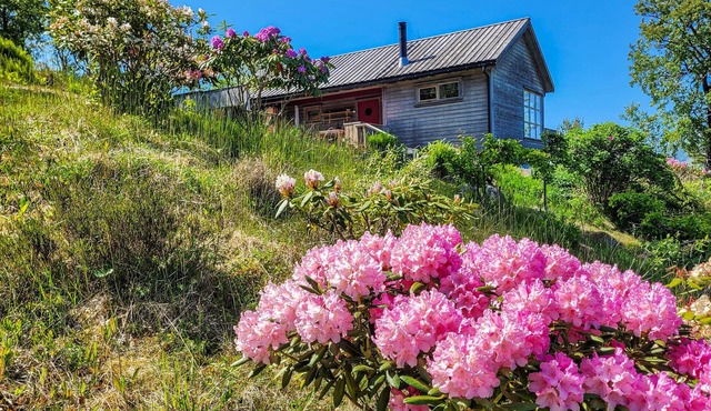 Amazing home in Jørpeland with kitchen