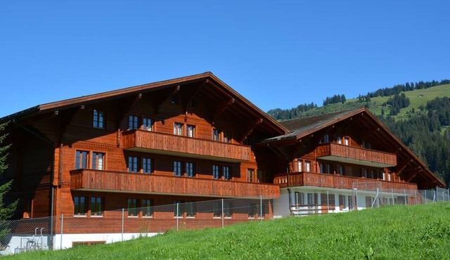 Anne (1. Stock) Appartement/Fewo, Dusche oder Bad, WC 12-Bettwohnung by Interhome in Gstaad