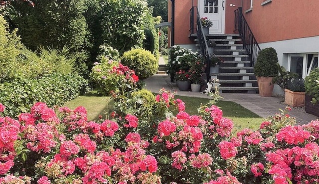 Apartment 'Am Hasenberg' with Garden & Wi-Fi in Bad Doberan