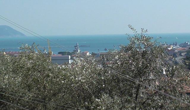 Apartment between lemon and olive trees with sea view CITRA code 011015-LT-0925
