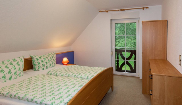 Apartment Erle, comb. Living room/bedroom/kitchenette, shower/WC (1 bedroom in the attic) - Zimmermanns Ferienhof in Burg (Spreewald)