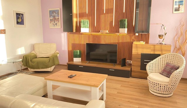Apartment overlooking Danube and the park. Near Gellert Bath and the Central Market in Budapest