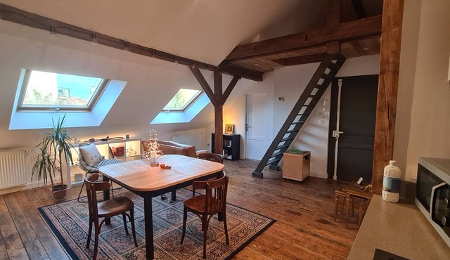 Atypical apartment Metz T3