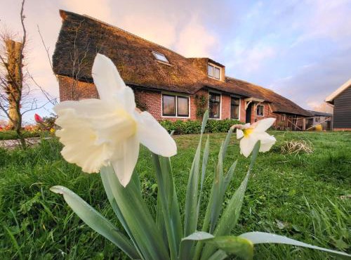 B&B Koe en Kussen in Bodegraven