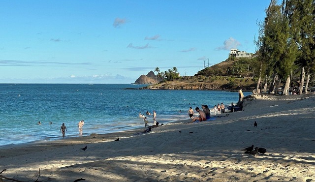 BAREFOOT-BEACH-RETREAT, 2BR, NEWLY FURN. WALK-2-BEACH/BUZZ'S=2 MIN, KAʻOHAO SCH.