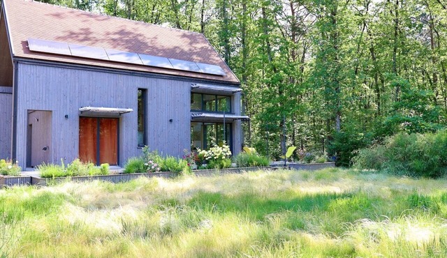 Cabin in the Fontainebleau Forest in Le Vaudoué