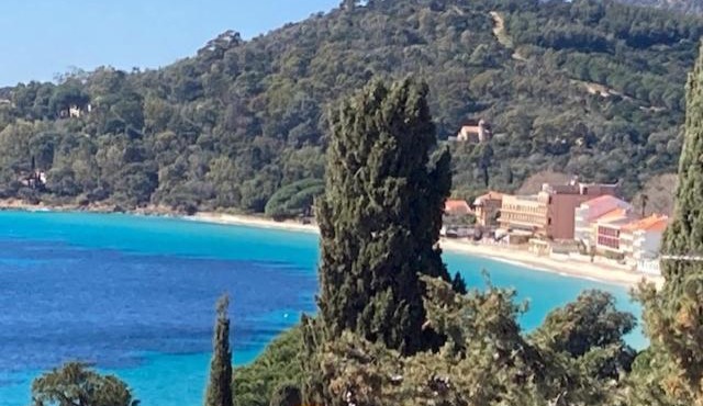 Cap Sud,apt 4p,vue mer,pr plage in Le Lavandou