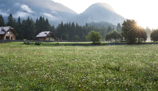 Chalet Alpi Giulie-Il Nido in Malborghetto-Valbruna