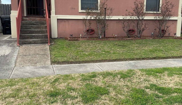 Charming 3-bedroom house with AC and WiFi in lively New Orleans in New Orleans