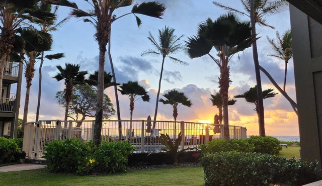 Charming Oceanside condo with AC in fabulous Kapa'a