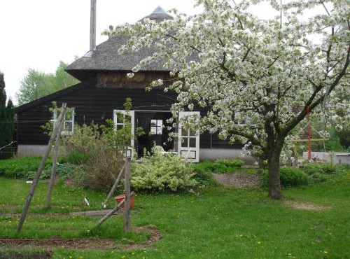 Cornucopia Cottage in Ingen