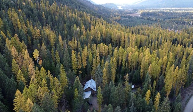 Cute Tiny House in the Woods for a Peaceful Getaway in Nature near Clark Fork, Idaho in Clark Fork