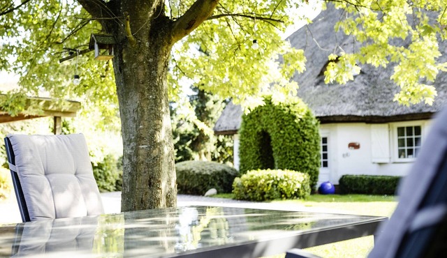 Detached 5-star country house under thatch * 200sqm living space * in Binz