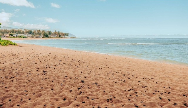 DIRECT SANDY BEACHFRONT just steps away fr the patio.Ground Fl.condo 1bed2ba2pkg