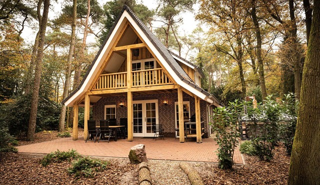 Dream Home with Wellness Facilities and Home Automation on the Edge of the Dunes in Soest