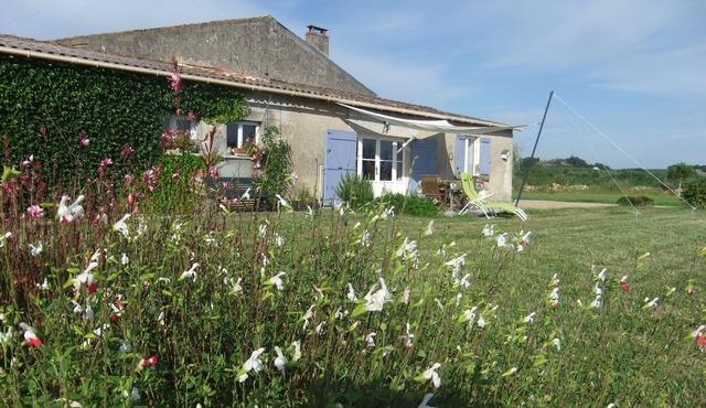 Entre-Deux-Mers (Between the two seas), Bordeaux, Saint-Émilion and Yquem in Cadillac