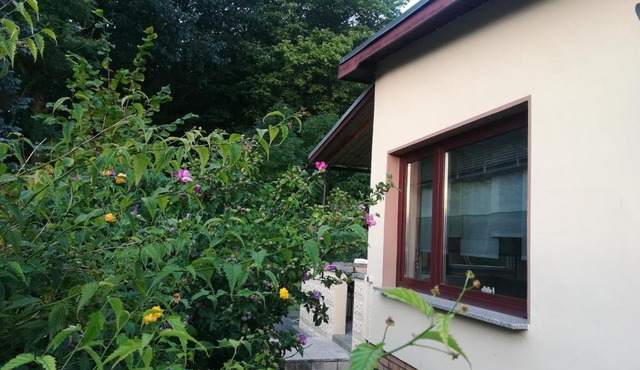 Ferienhaus am Wald in Loissin