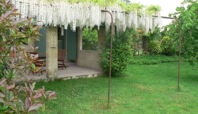 Gîtes La Glycine facing the Saint-Emilion river in Vignonet