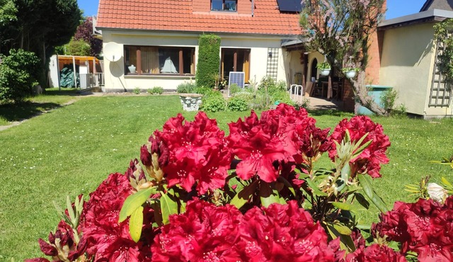 HELLO AND WELCOME. in Rostock