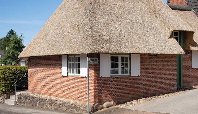 Holidays under thatch in the Stormstadt Husum 4 STARS * in Husum
