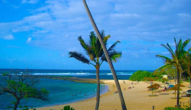 Iconic Turtle Bay- Full Kitchen, 2 Full Baths - Rated 9.6 of 10 - Walk to Beach!