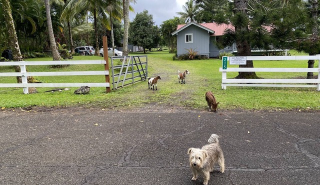 JJs Hāna Hale - Farm House