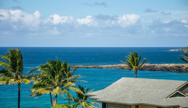 Kapalua Unit #18G3 1 Bedroom Bay Villas Gold Ocean View