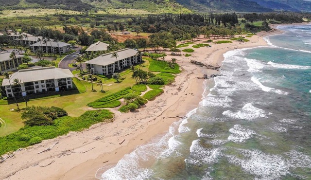 Kauai Beach Villa Walk to Beach, full kitchen, separate living room FREE PARKING