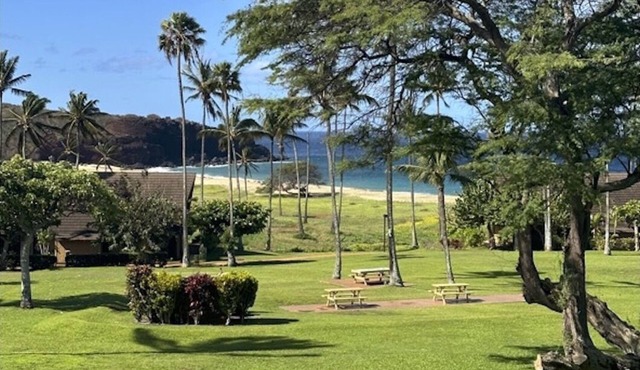 Kepuhi Beach, Molokai, Oceanfront Gem! What a view! Steps to the beach!