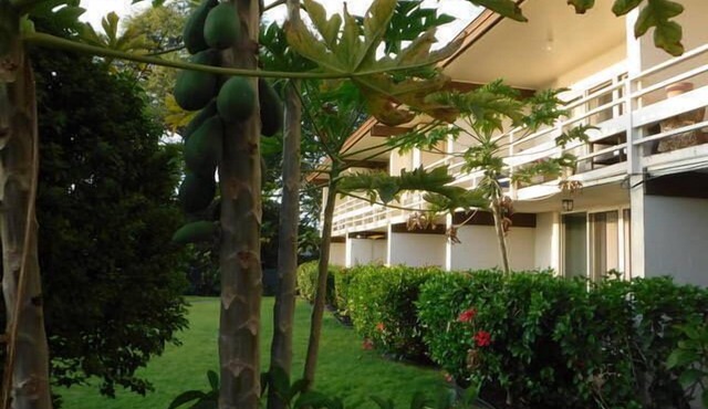 Kona White Sands A4 Romantic Ocean View!