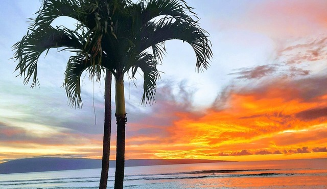 Kuleana 407 Ground Oceanfront - No Additional Owner Fees and Discounts Available