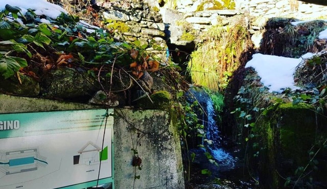 LADYBUG HOUSE SEMI DETACHED HOUSE in Calasca-Castiglione