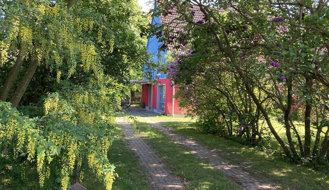 Large, cozy vacation home in a quiet location in Groß Mohrdorf / Hohendorf