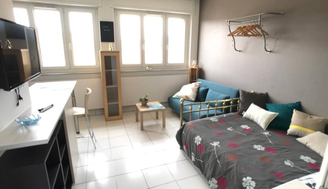 Large studio in Saulny