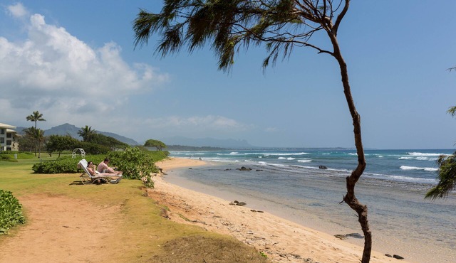 Last Minutes Special with Gorgeous Kauai beach resort, romance and fun