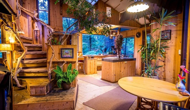 Live among the trees In this real-life treehouse!