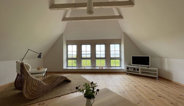 Loft Svanvithe-Sea view-Apartment-Superior-Private Bathroom in Poseritz