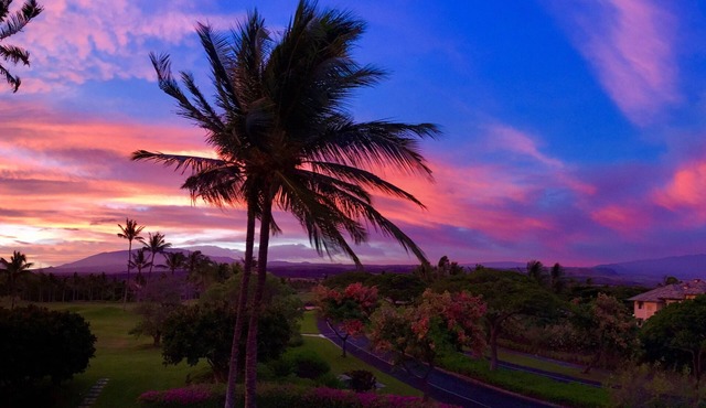 Look No Further - Spectacular Beach Resort Condo, Amazing Views, Unit F-206