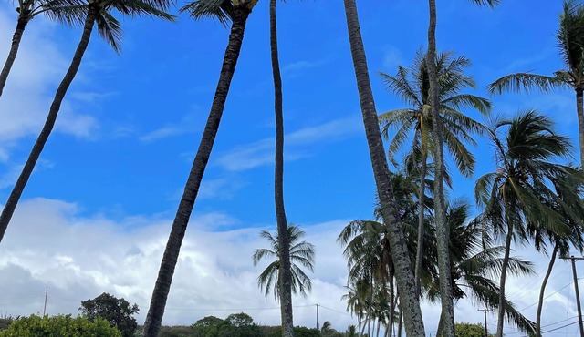 Lovely beach view condo in Poipu!