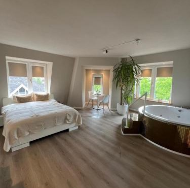 Luxury Private Spa with golden bath, cinema and sauna in Bodegraven