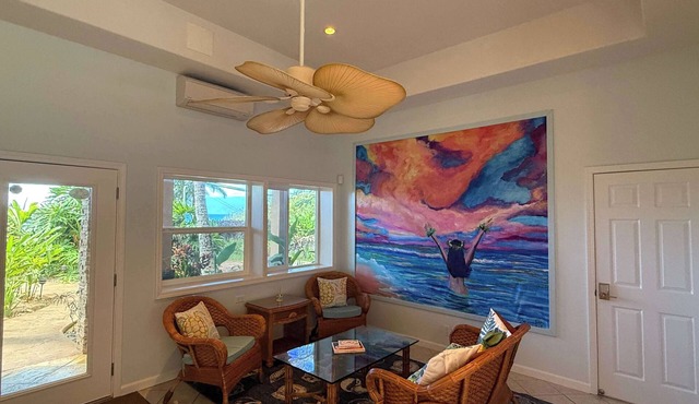Maui B&B | 3 Oceanview Rooms | Steps from Beach w. AC | BBQ & Free Breakfast