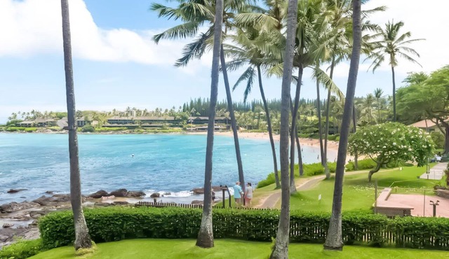 Maui Magic A206 AC BEACHFRONT Napili Bay/ATTN: Cleaning fee added AFTER booking