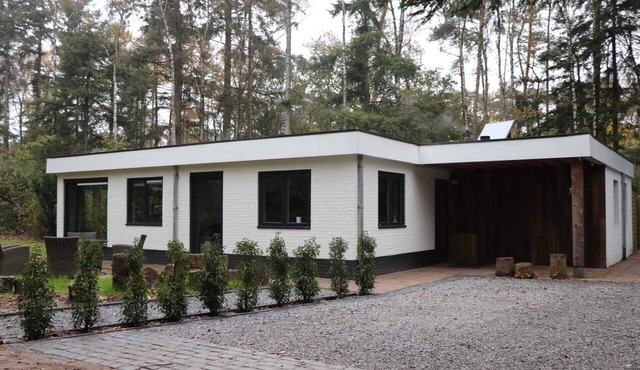 Nature House Vechtdal | Bungalow with Private Sauna, Lake & Fireplace in Vilsteren