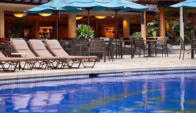 Oahu Dream! 3 Ocean View Units, Pet-friendly, Restaurant, Near Waikiki Beach