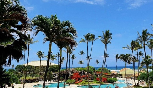 Ocean View Room, Spectacular Beachfront Resort, 4 pools, Restaurants on site
