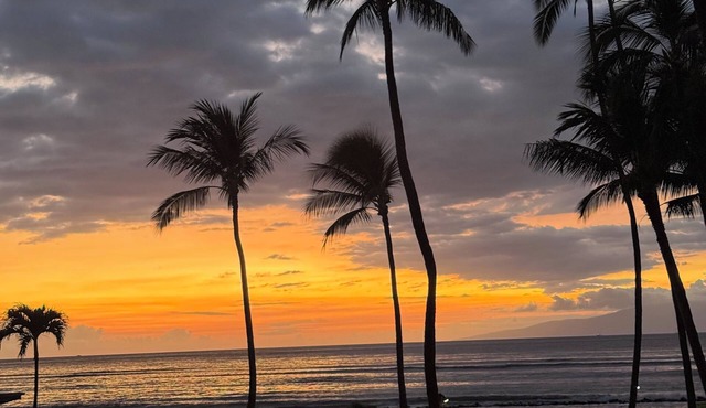 Oceanfront 2BR 2BA Kihei Maui–Stunning Lanai Sunsets, Beach Front, Turtles!